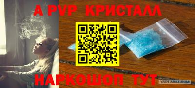 меф Долгопрудный