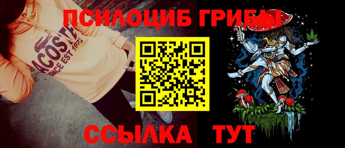 Псилоцибиновые грибы мухоморы Александров